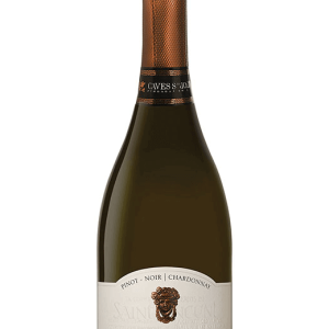 Sparkling Wine São Joao Luiz Costa Brut 2018