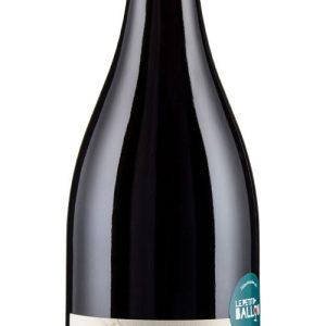 Domaine Jean Perrier & Fils – Mondeuse Arbin Graine de Terroir 2016 en ligne