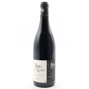 Terres Chaudes 2018 Domaine des Roches Neuves