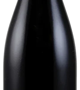 Vosne-Romanée 1er cru Les Rouges du Dessus – Rouge – 2020 – Domaine Jean-Luc et Eric Burguet